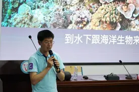 白瓷蟹不是蟹是虾？一低头就有饭吃，这过的是什么神仙生活图片