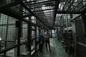 “黑猩猩才是最危险的！”杭州动物园专家：和猛兽打交道，守规则最重要图片