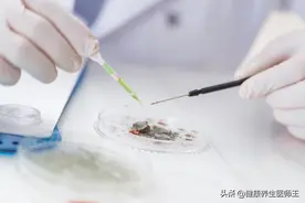 外阴良性肿瘤图片