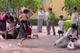 北京野生动物园游客打架，动物纷纷效仿，为什么动物会模仿人类？图片