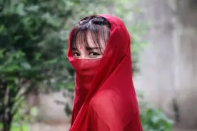 明代也有“李子柒”？手工活干得好，文采还不赖，无数女人为之倾倒图片