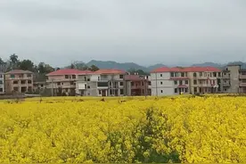 全国彩礼比江西还高的地方还有很多，为什么总是江西背黑锅图片