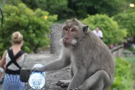 揭出国游常见骗术，意大利套路中国人一眼识破：10年前我国就有图片