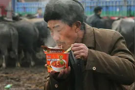 康师傅方便面只有几粒牛肉，一年消耗多少头牛？还真有人算出来了图片