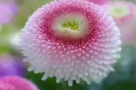 你，是我此生，无缘做夫妻夫妻的人图片