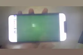 翻车了，iPhone12 PM 绿屏，iOS14.3未修复图片