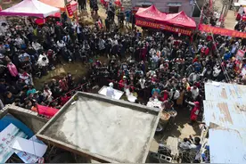 杨树行枫派与面粉派的针锋对决，枫欲拉蛋黄派加入，二蛋尽显狐猾图片