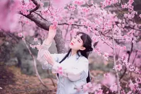 拍桃花，掌握这些简单技巧，轻松拍出大片图片