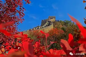 延庆区赏红叶指南→图片