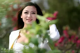 什么叫“秋波”？图片