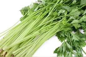 同样是芹菜，“粗的”与“细的”有啥区别？搞懂以后别再买错了图片