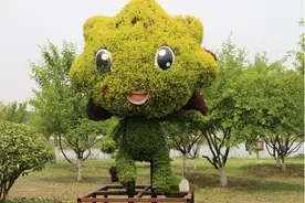 东海西双湖百合主题公园即将免费开放图片