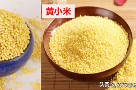 挑选黄小米时，颜色越深越好？老农教你3招选好米，不怕被坑图片