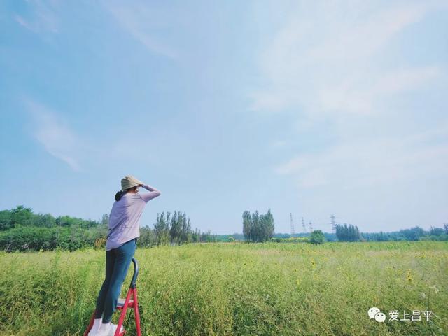 秋日农场嗨玩！露营野餐，种菜摘果，过向往的田园生活