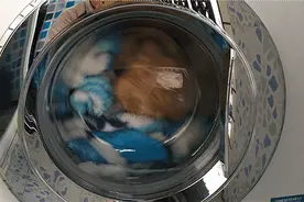 刚穿上的羽绒服就沾上了污渍？不用水洗不留痕迹，一擦一抹就干净图片