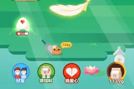 支付宝的小鸡都跑哪里去啦？图片