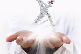 夫妻双方，谁的基因决定了孩子的身高和智商？科学地解释在这里图片