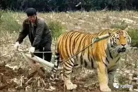 假期不想堵在高速上，但是，南阳可玩的地方太少了图片