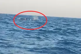 三头巨兽现身我国黄海，专家确认是虎鲸！分析：不罕见但为好事图片