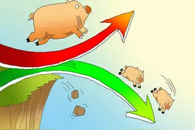 今日15公斤仔猪价格，肥猪和仔猪价格倒挂，仔猪决定短期盈利？图片