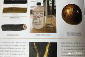 作假“金丝柳”的特征详谈图片