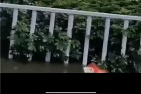 暴雨中，救命恩人是“小黄人”图片