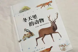 如果孩子问动物是如何过冬的，只知道蛇冬眠？那你可就过时了图片