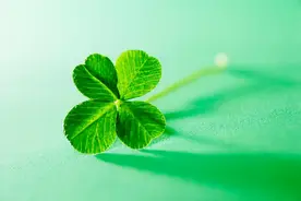 男人这样跟你开玩笑，不是撩你，而是喜欢你图片