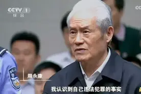 重磅丨周永康、薄熙来、孙政才等9虎罕见同框！图片