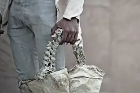 印尼富二代用小孩子脊椎骨制作手提包炫富，无数网友被恶心到了图片