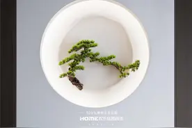 两套打通的260平大宅，轻启简约惬意生活图片