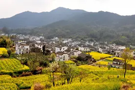 农村随处可见的“财富”，是过去暑期赚钱的好方法，如今无人理睬图片