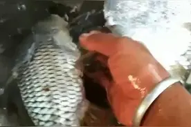 废旧渔具再利用图片