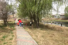 保定市区内，赏花捞鱼看火车，周末原生态带娃好去处图片