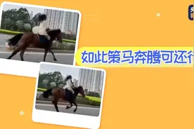 女子街头策马奔腾被警方约谈图片