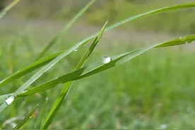 10分钟《古诗课》「15」劝君更尽一杯酒，西出阳关无故人图片