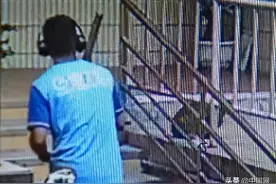 男子疑因与妻子吵架送外卖时虐杀流浪猫，小区居民：太残忍了图片