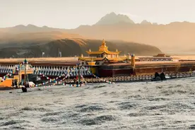 手机拍照千万别犯这4大错误，再强的后期也救不了图片