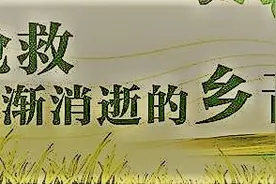 你的孩子还会说家乡话吗？孩子们不说家乡话，方言的传承会断层吗图片