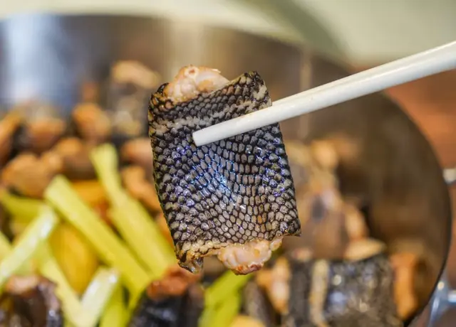 鳄鱼肉花胶 2026年鳄鱼胶好吗