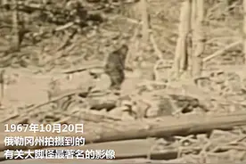 没有金字塔，没有三星堆，美国人可以把大脚怪炒得火热图片