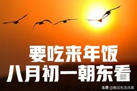 俗话：“要吃来年饭，八月初一朝东看”，看啥呢？有什么预兆？图片