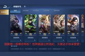 国服榜一有哪些特权？世界频道公然选妃，天美还不快来管管图片