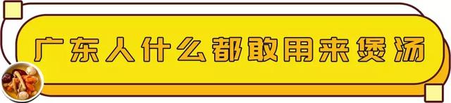 花胶鸡参汤 2026年花胶鸡人参汤 花胶鸡参汤 2026年花胶鸡人参汤