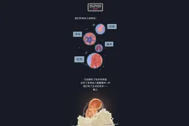 怀胎十月的过程中，我们在妈妈体内经历了什么？图片