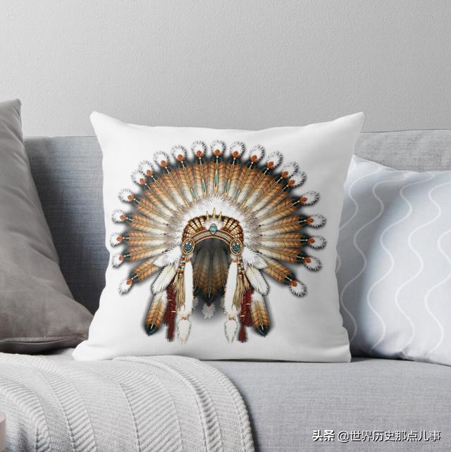 华丽的羽冠，勇士的王冠：一顶印第安人帽子背后的荣耀与尊严