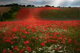 经典语录：过去的事情不放，容易伤心图片