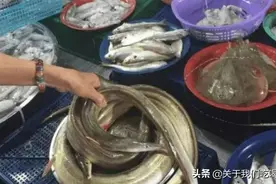 水产老板揭秘：很多人爱吃的5种海鲜，添加剂太多，自己从不吃图片