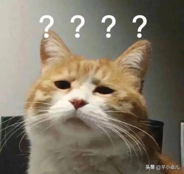 养生壶怎么做花胶 2026年养生壶怎么做花胶视频