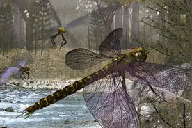 为什么现在的动物，大多数都比史前动物小很多？原来是环境不允许图片